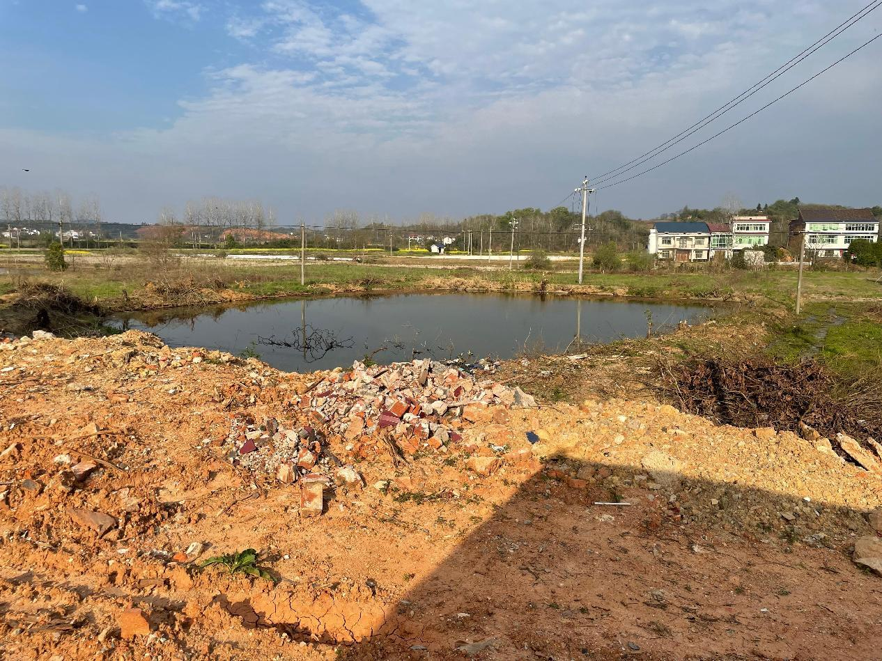 桃水镇：扎实推动项目前期手续办理 为项目开工建设保驾护航