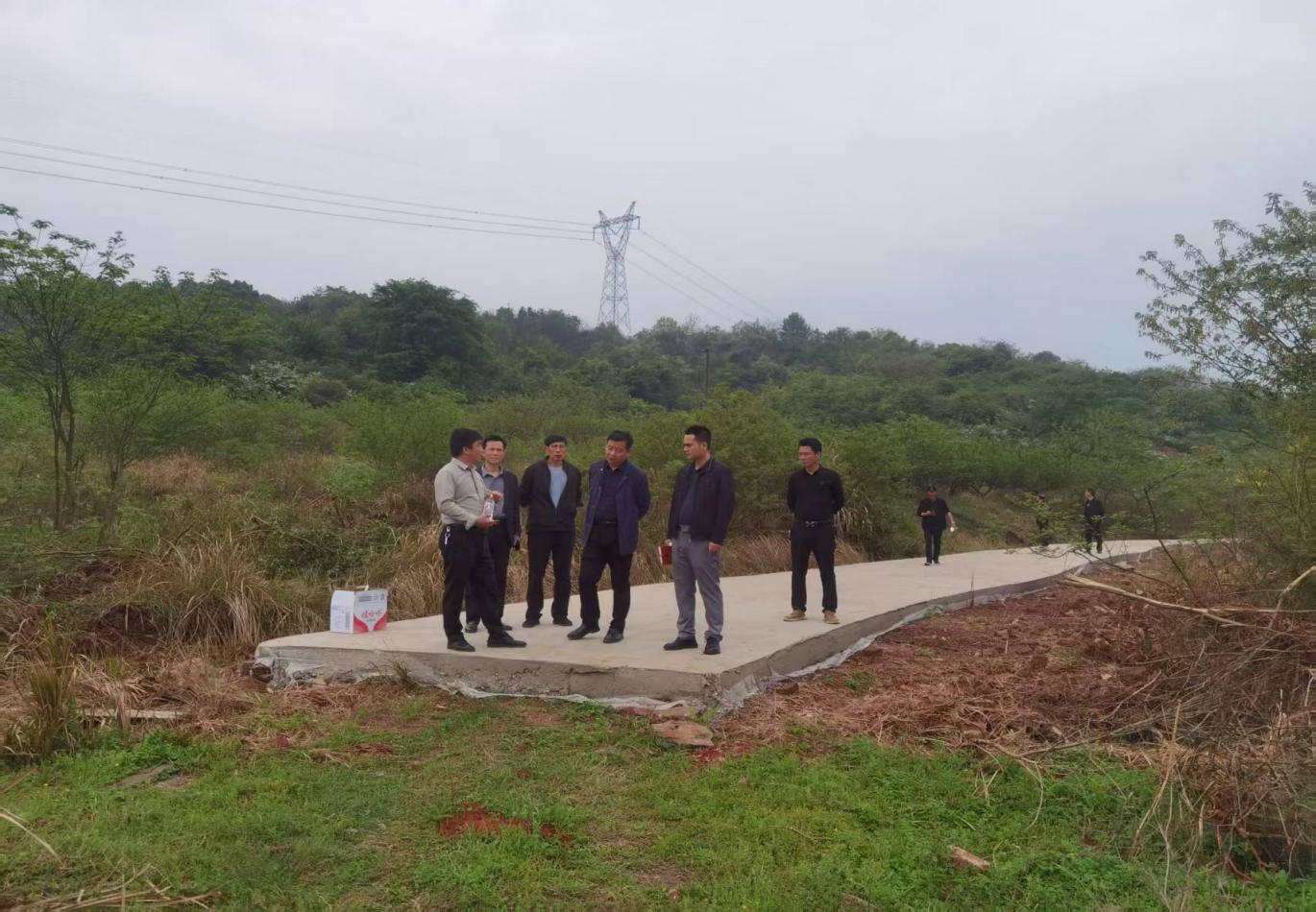 江桥街道：兄弟禽业蛋鸭全自动化养殖基地正式开工建设