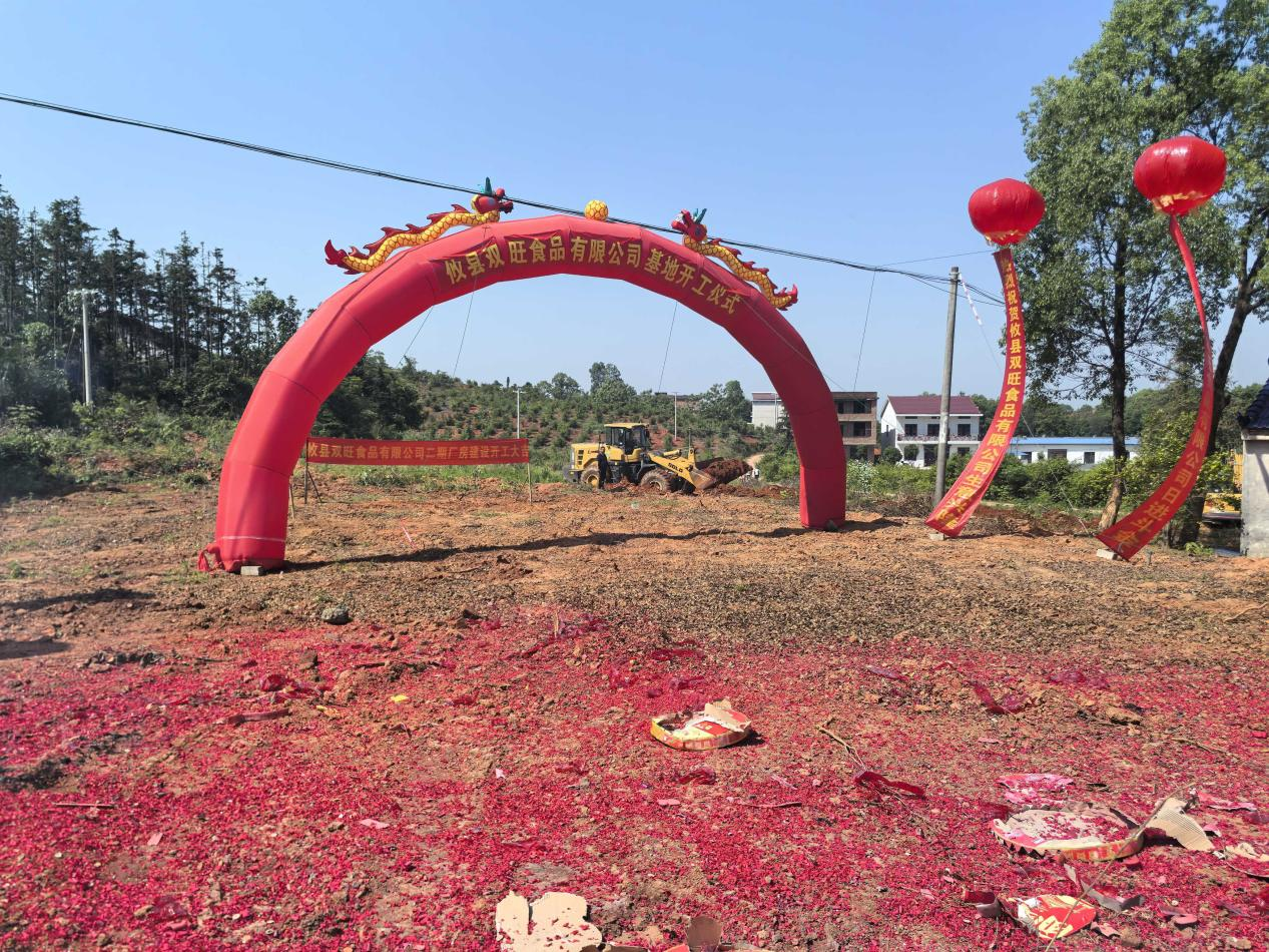 桃水镇：双旺二期“标准化”厂房建设开工仪式顺利举行