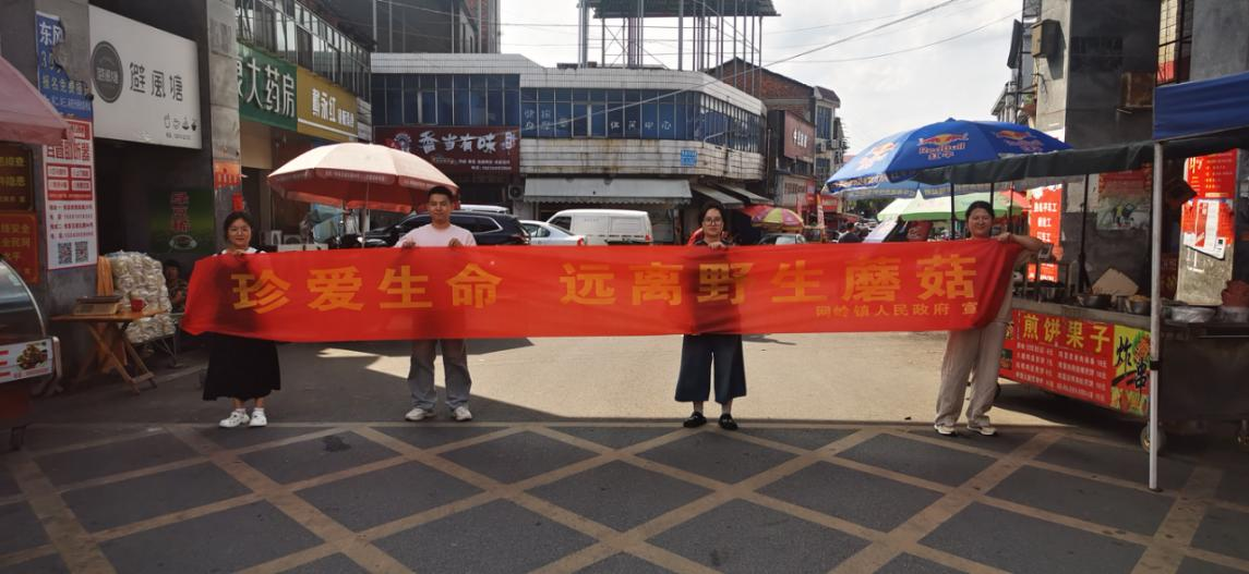 网岭镇：精准发力防毒菇，安全防护食品网
