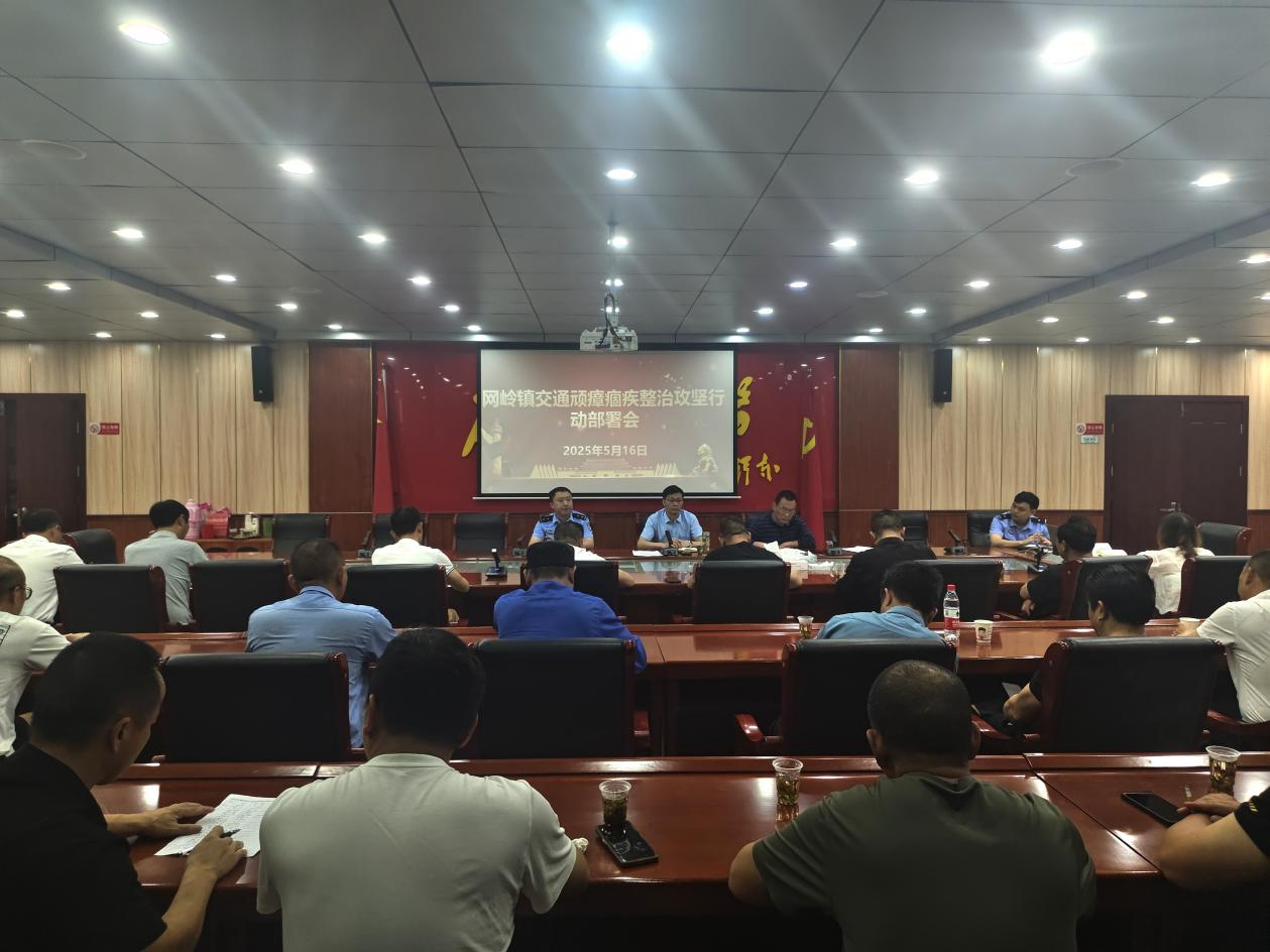 网岭镇：多管齐下护安全 坚决守护生命线