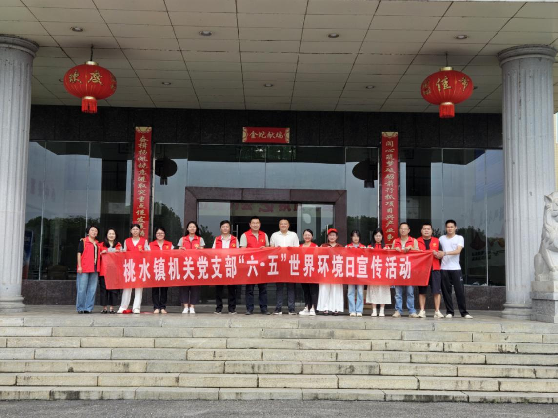 桃水镇开展“六·五世界环境日”暨“美丽中国我先行”环保宣传活动