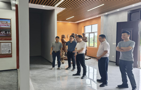 冯杰视察酒埠江“三张收据“广场及镇人大代表联络站建设情况