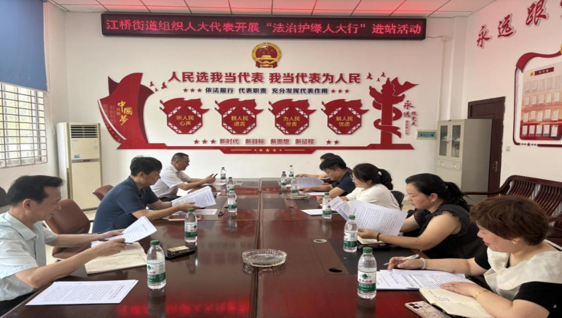 法治赋能 绿意更浓 江桥街道组织开展“法治护绿人大行”代表进站活动