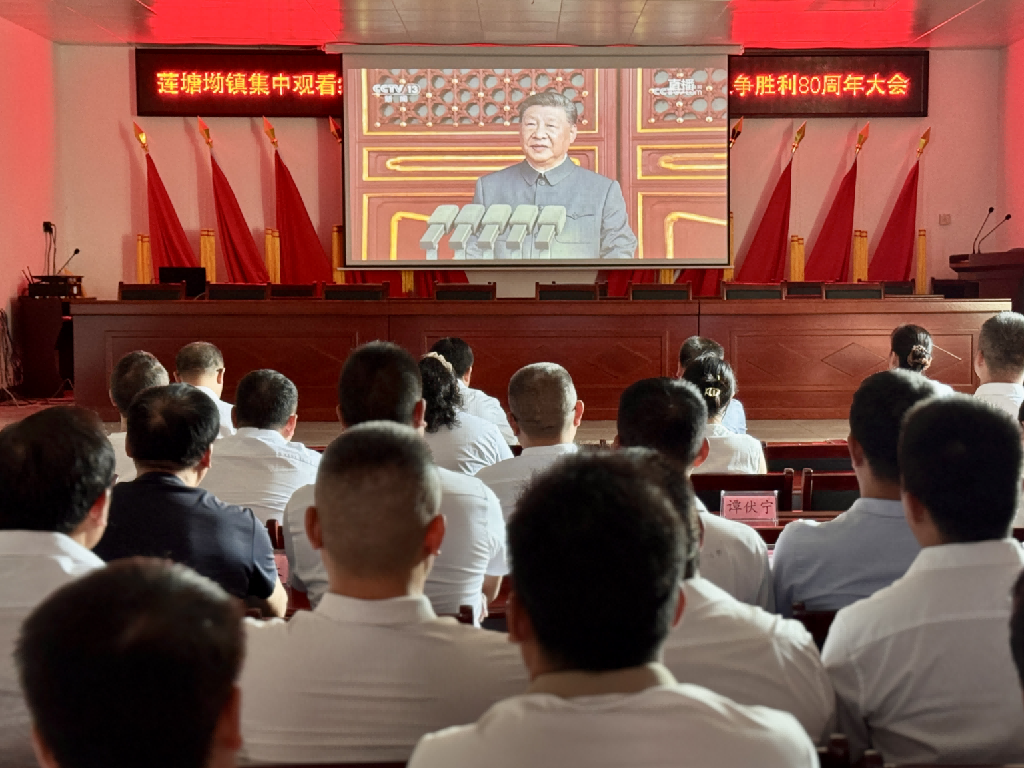 莲塘坳镇：组织集中观看中国人民抗日战争暨世界反法西斯战争胜利80周年大会