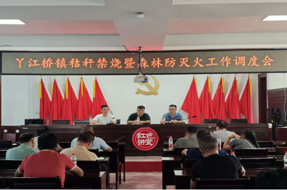 丫江桥镇：强化巡查宣传，筑牢禁烧底线