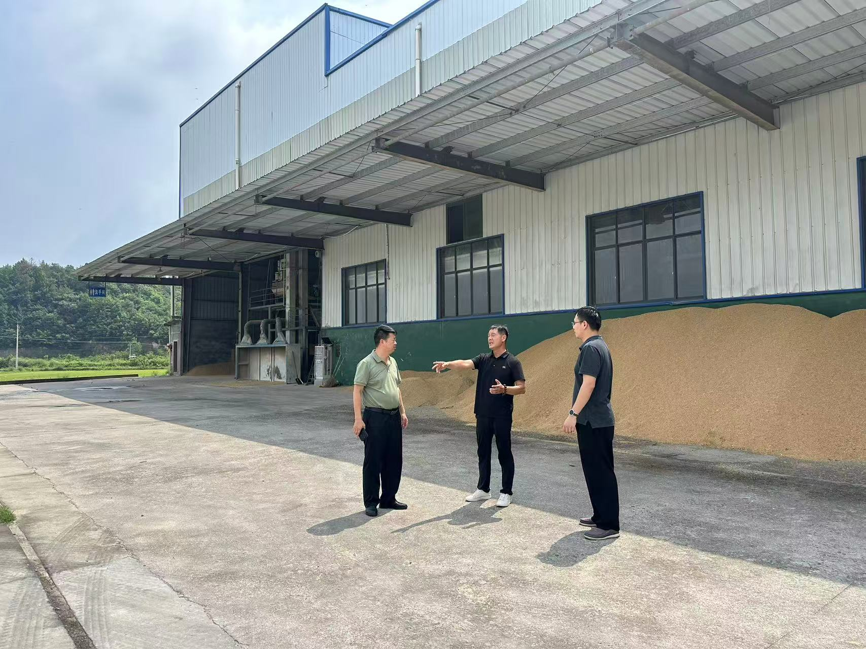 网岭镇：开展安全生产大排查 筑牢高质量发展安全基石