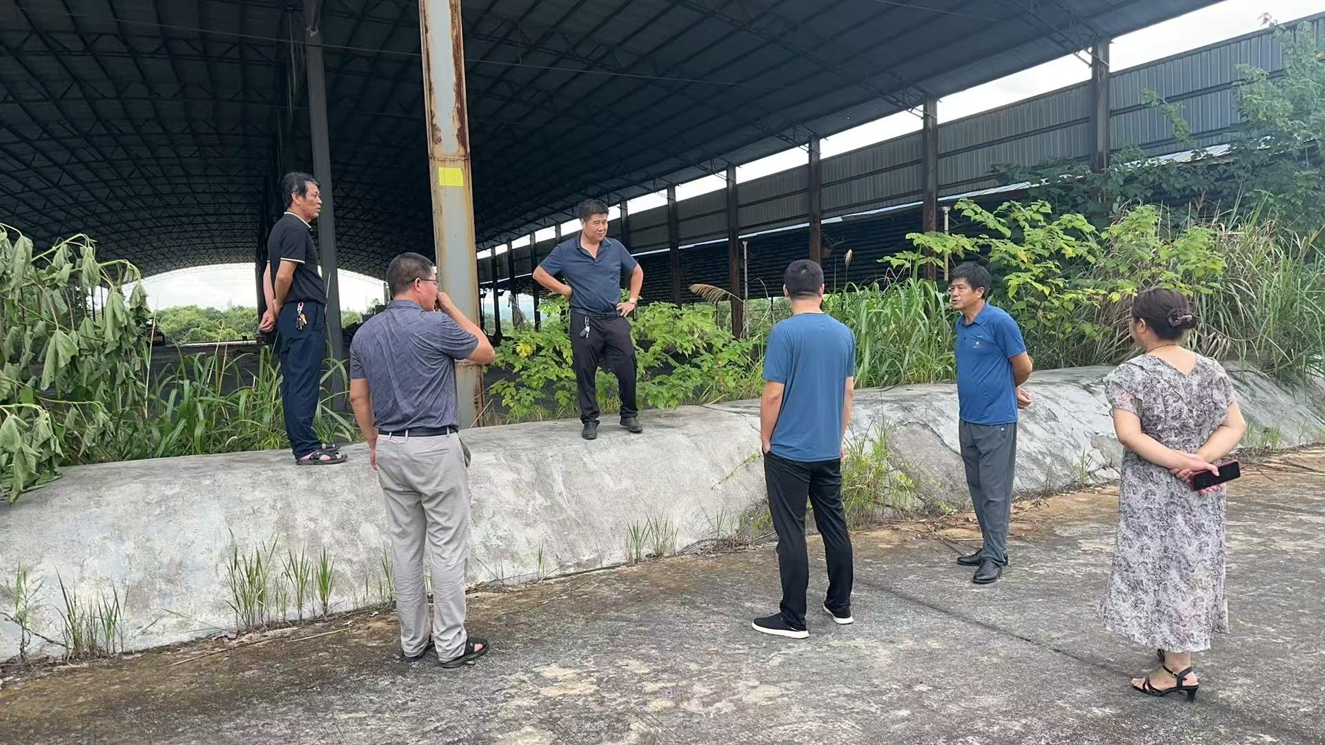 网岭镇：优化营商环境 精准服务企业