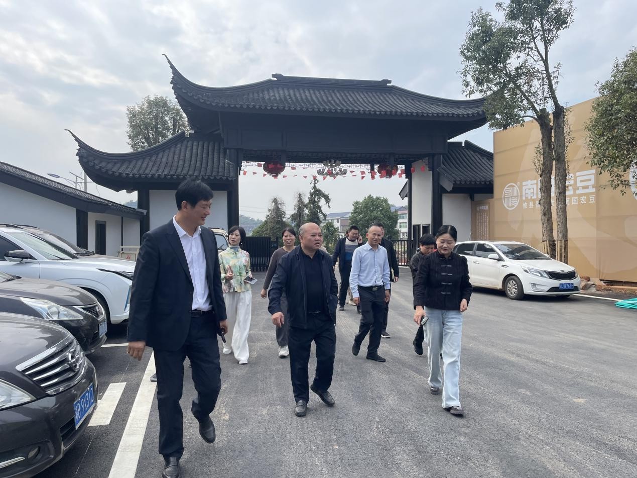 桃水镇：市县联动调研 助力电商新业态发展