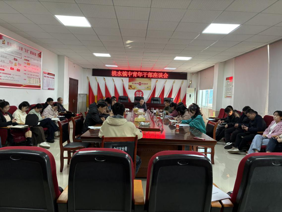 青春逢盛世 奋斗正当时——桃水镇召开中青年干部座谈会