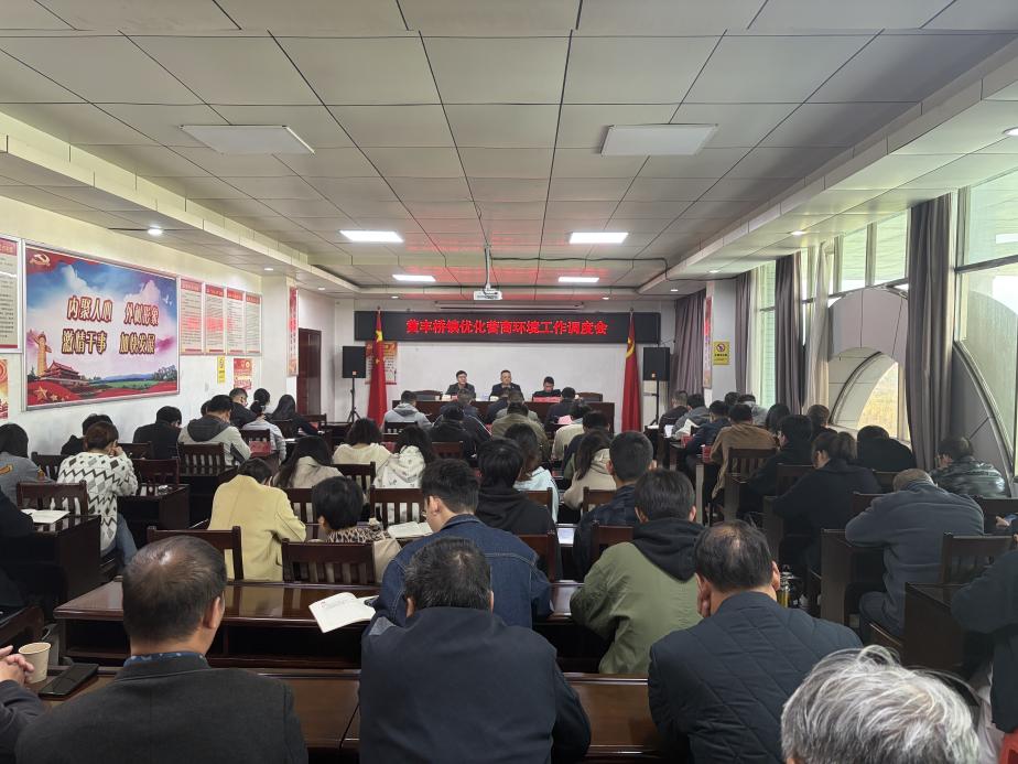 黄丰桥镇：多措并举强赋能  优化营商环境再升级