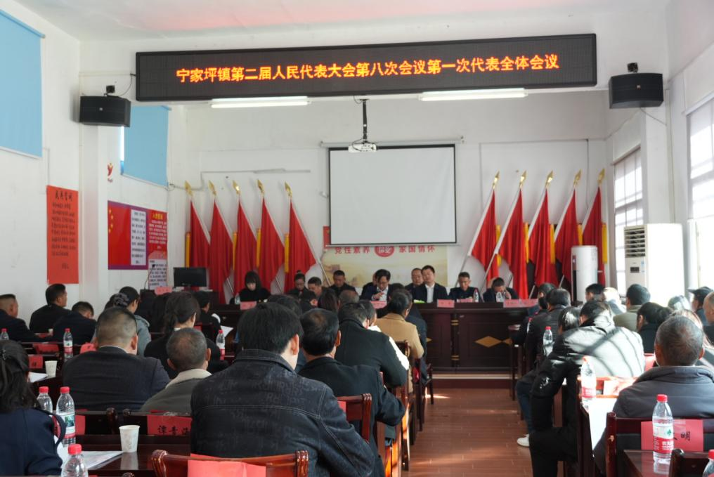 “宁”心聚力｜听报告绘发展蓝图，补班子注奋进动能