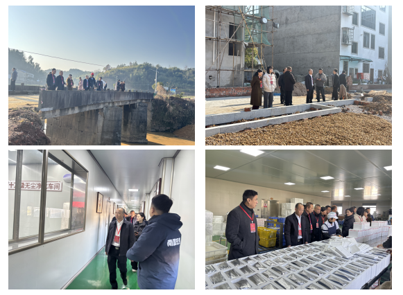 桃水镇开展人大代表联络站 进站视察活动