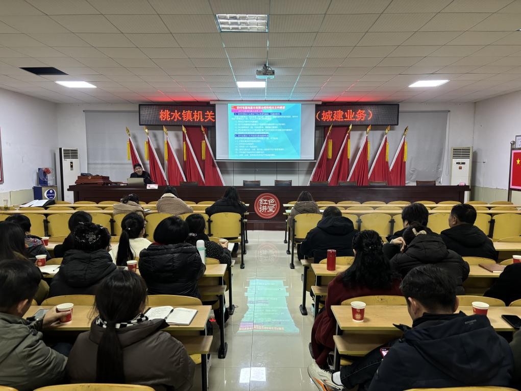 精准培训强本领 规范审批护民生——桃水镇开展宅基地管理专题培训