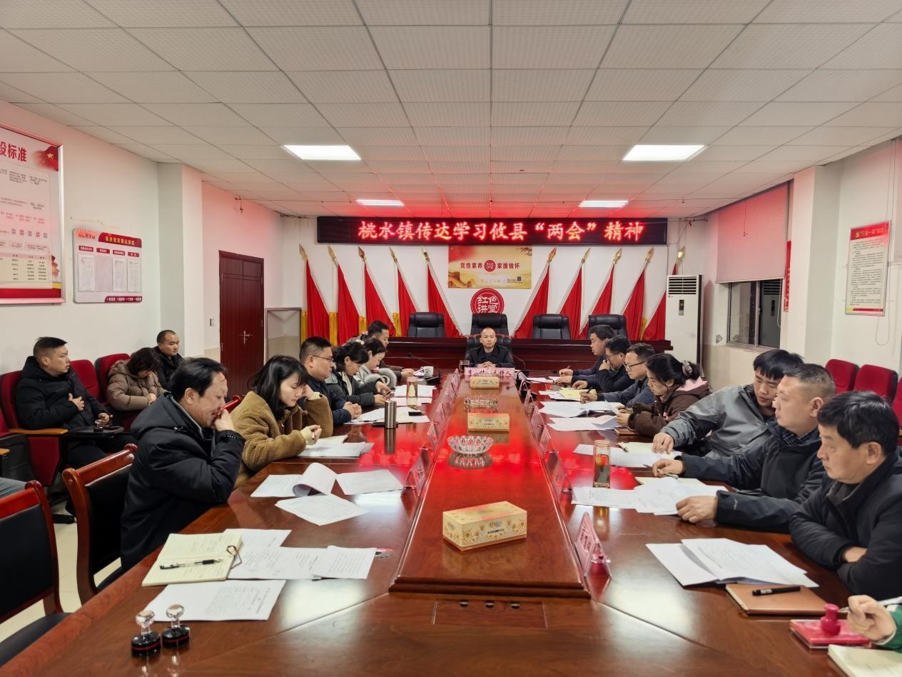 桃水镇传达学习攸县“两会”精神