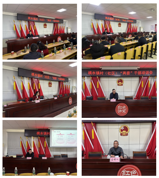 强化能力铸忠诚 履职尽责显担当--桃水镇召开村（社区）“两委”干部培训会