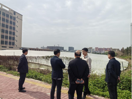 优化营商环境筑巢引凤 老乡返乡兴业共促发展