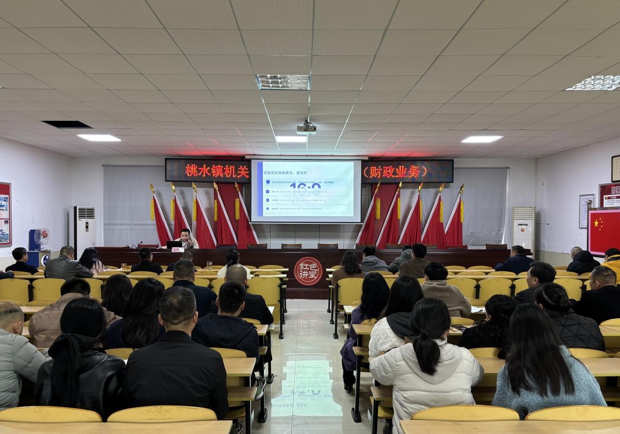 桃水镇：开展财务相关业务培训 筑牢资金安全防线