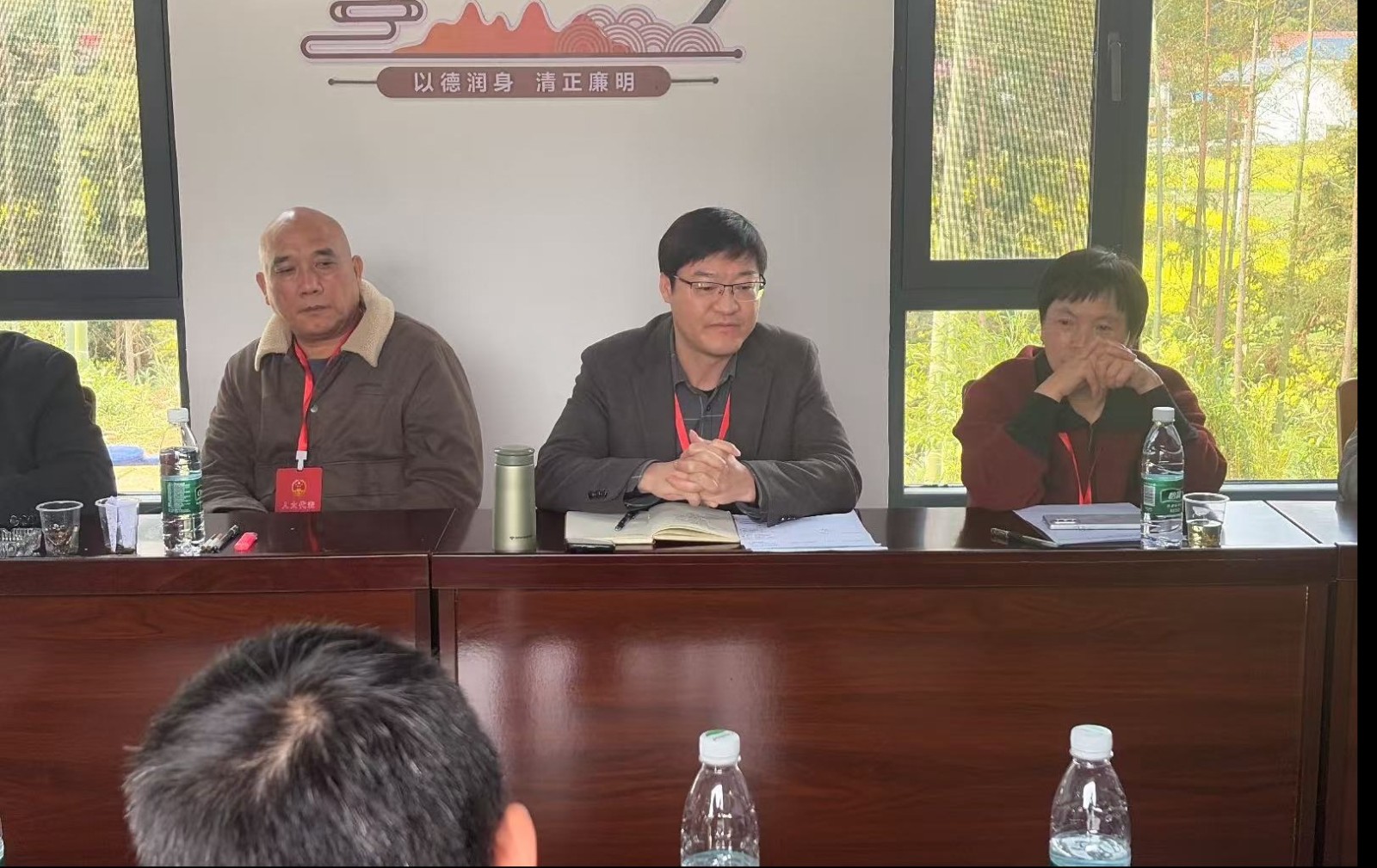黄丰桥镇：三级代表聚合力  共商黄丰新征程