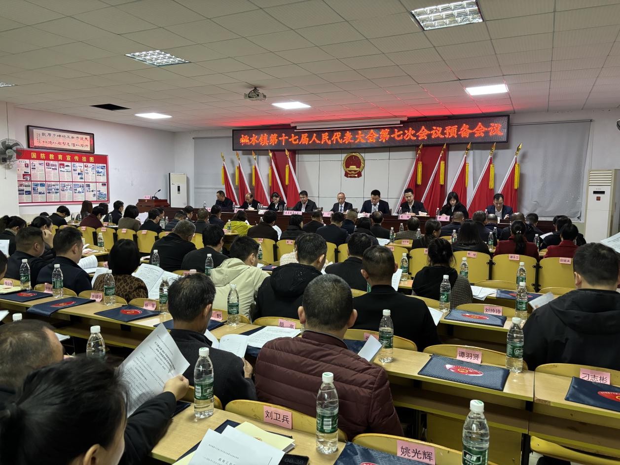 桃水镇第十七届人民代表大会第七次会议胜利召开