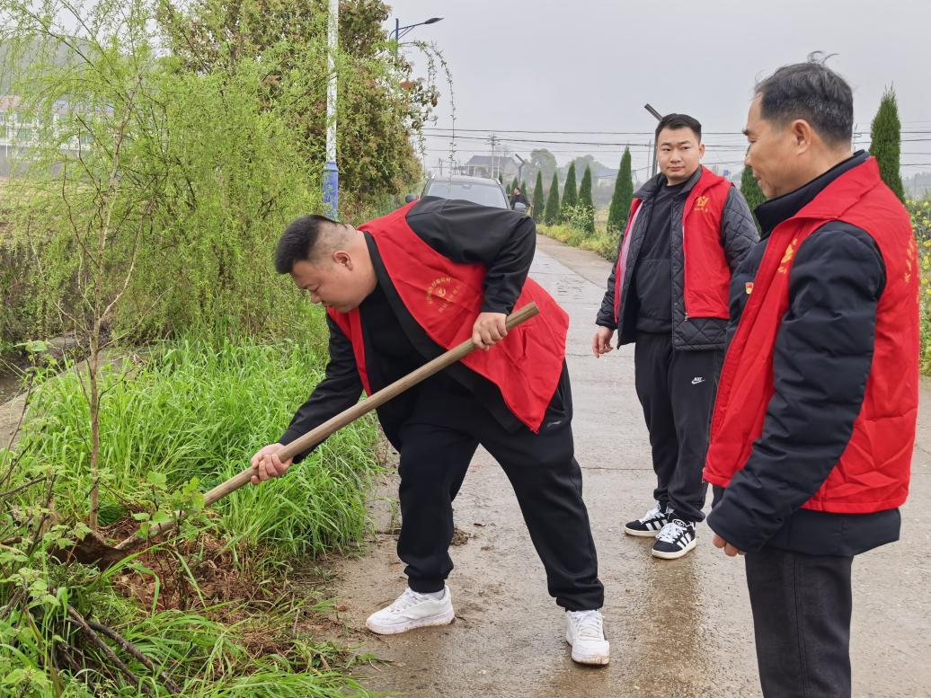 网岭镇笙塘村：春有暖意时，植绿焕新颜