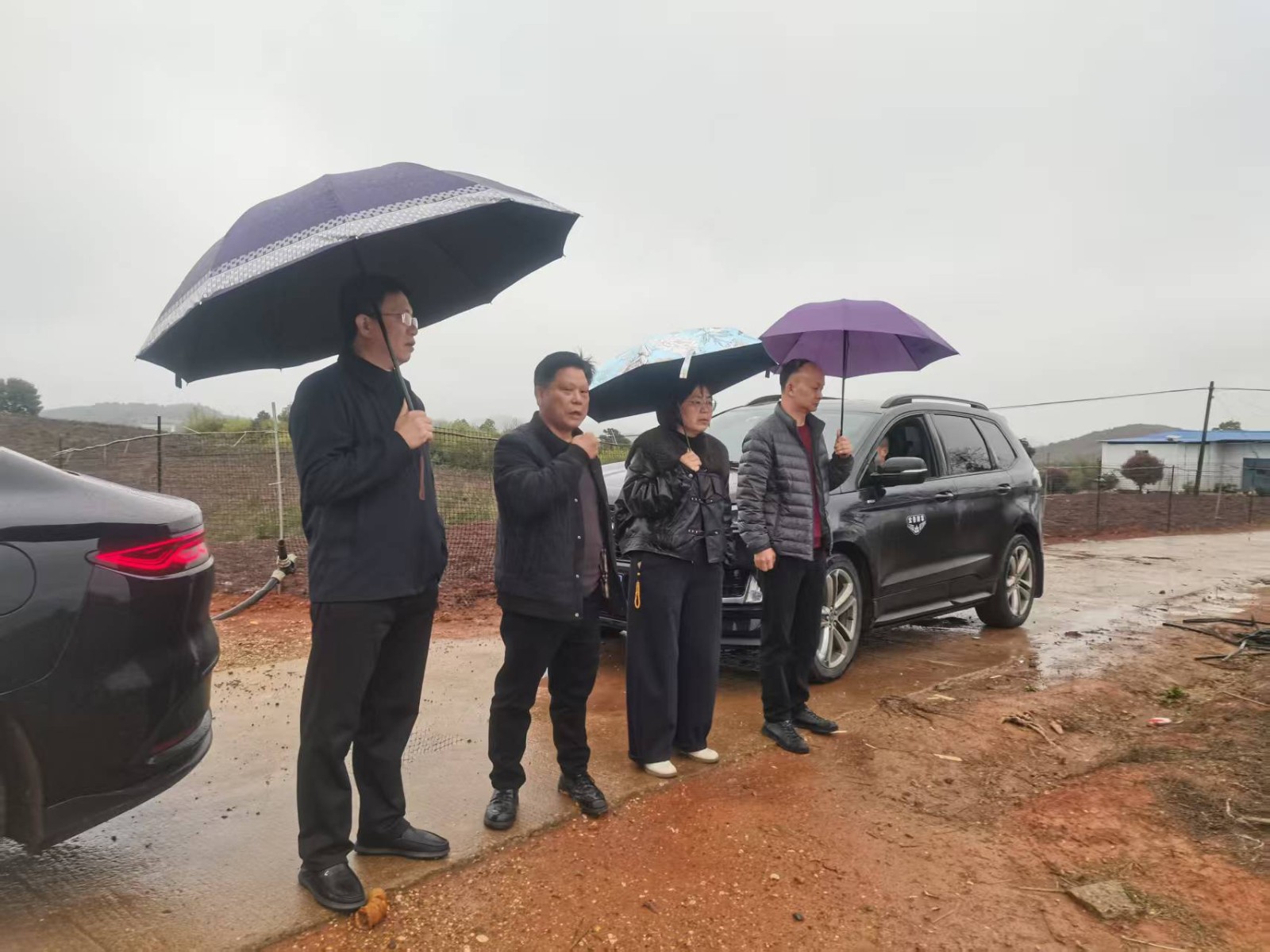 市、县林业局深入桃水镇调研林下经济 助推产业振兴