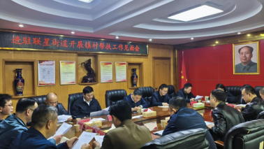 真帮实帮长效帮——联点单位进驻联星街道帮扶工作启动