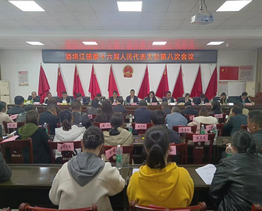 酒埠江镇：第十六届人民代表大会第八次会议胜利召开