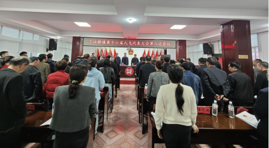 丫江桥镇第十六届人民代表大会第八次会议胜利召开