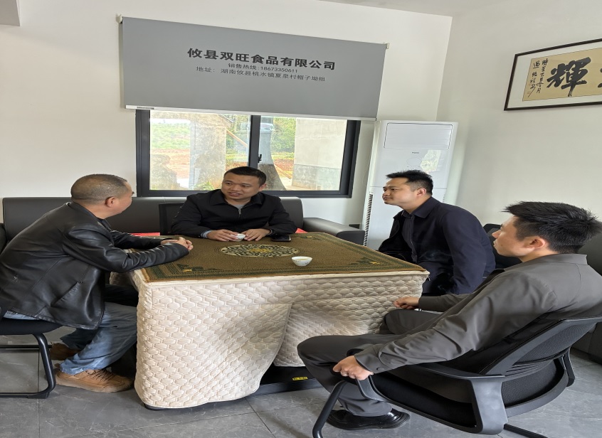 县领导赴桃水镇督导重点工作