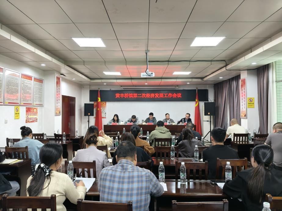 黄丰桥镇：凝心聚力优环境 共谋发展谱新篇