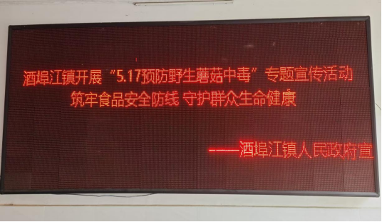 筑牢食品安全防线 守护群众生命健康——酒埠江镇开展“5.17预防野生蘑菇中毒”专题宣传活动