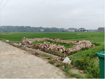 联星街道：快速处置农田违建 严守耕地保护红线