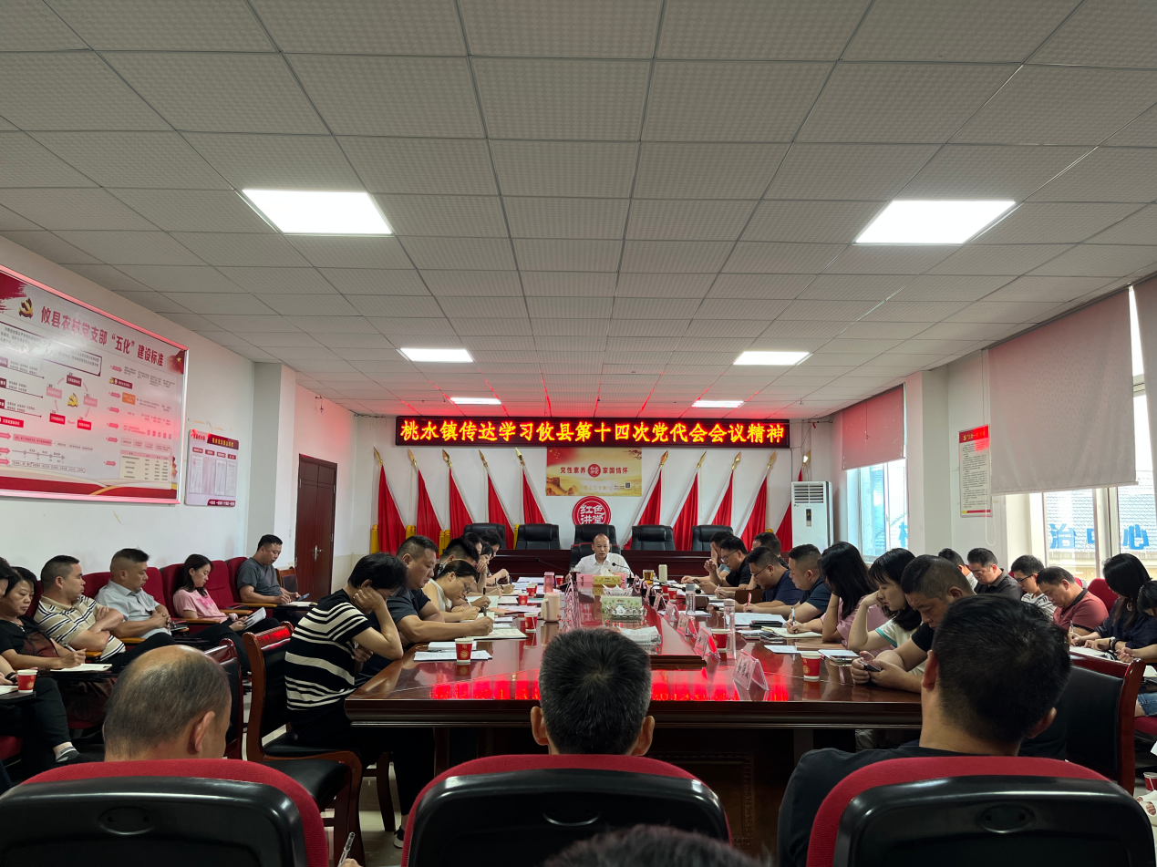 深学细悟党代会精神 实干笃行擘画发展新局——桃水镇传达学习攸县第十四次党代会精神