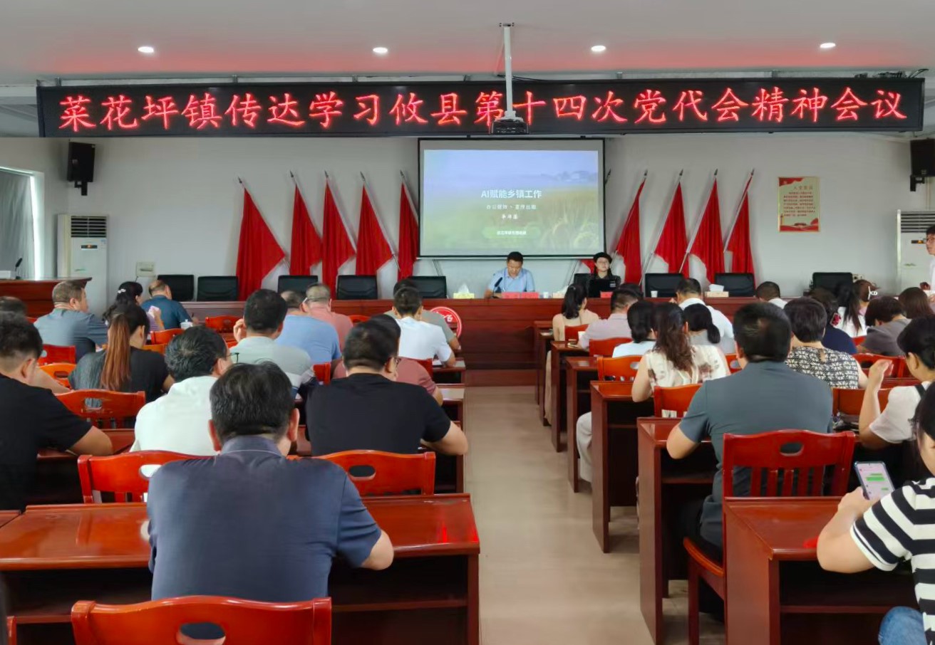 菜花坪镇传达学习攸县第十四次党代会精神