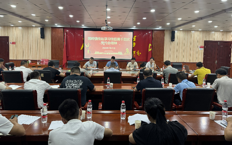 网岭镇传达学习贯彻落实攸县第十四次党代会精神