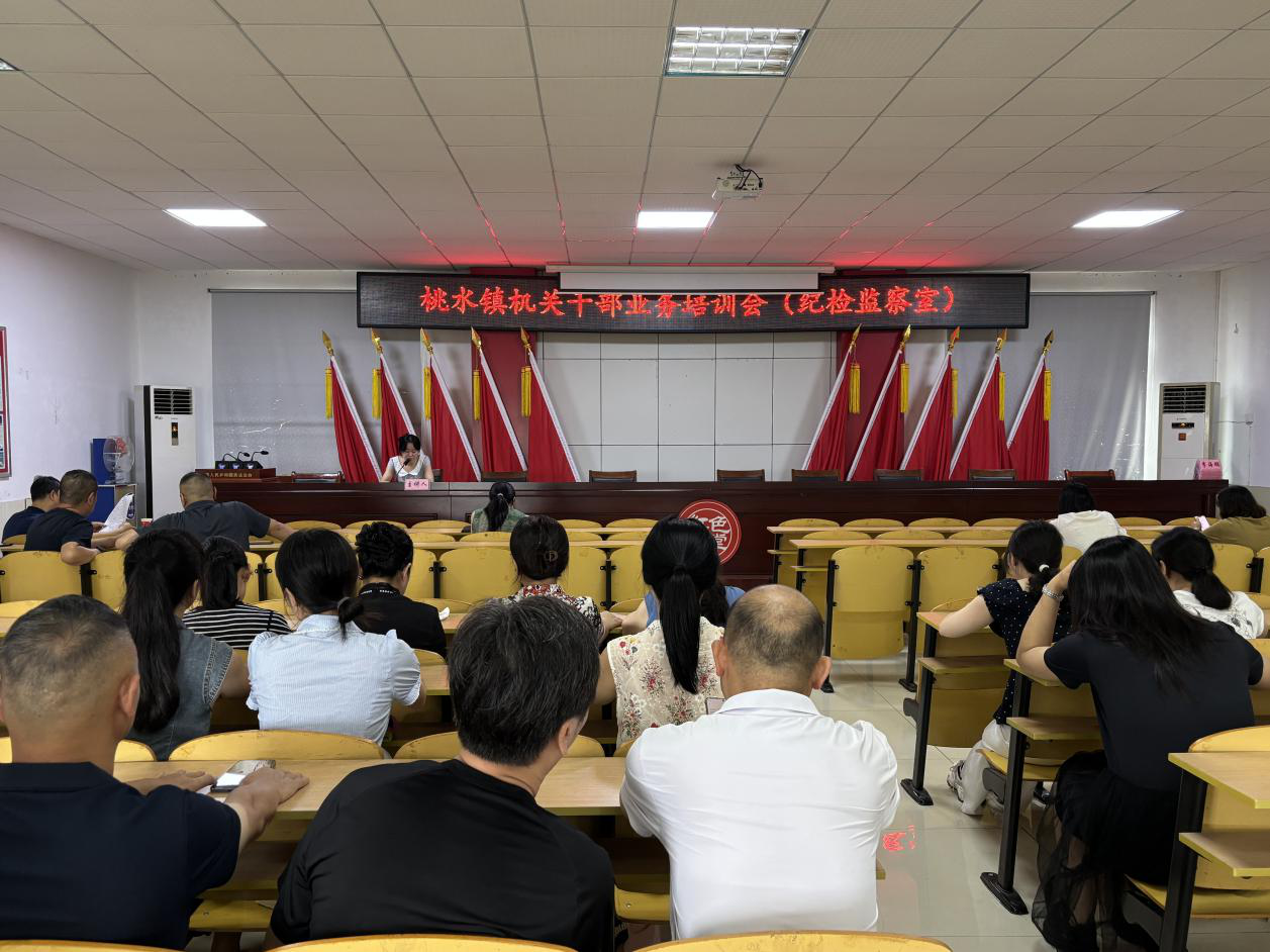 桃水镇：深化巡察业务学习 提升监督履职水平