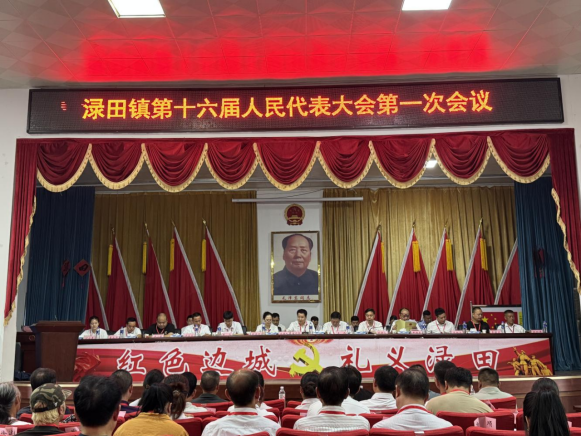 渌田镇第十六届人民代表大会第一次会议顺利召开