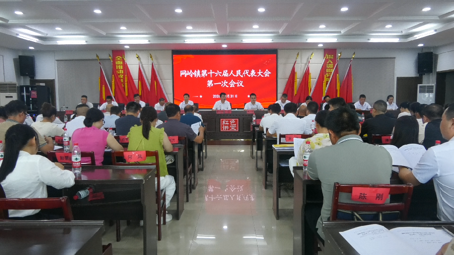 网岭镇第十六届人民代表大会第一次会议顺利召开