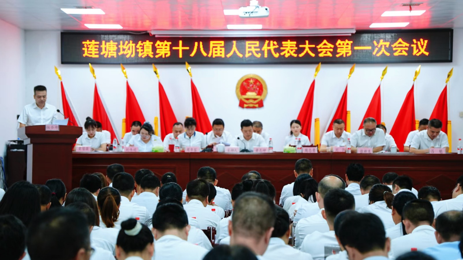 凝心聚力启新程 实干笃行谱新篇——莲塘坳镇第十八届人民代表大会第一次会议胜利召开